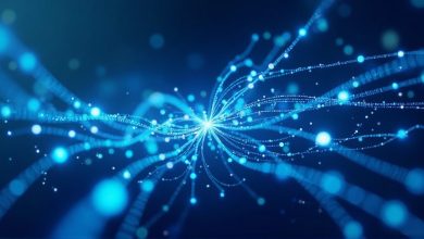 اینترنت سازمانی